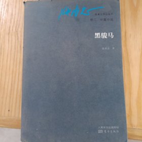 张承志作品系列：卷二·中篇小说·黑骏马