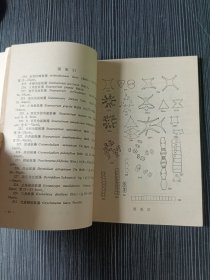 淡水浮游生物图谱