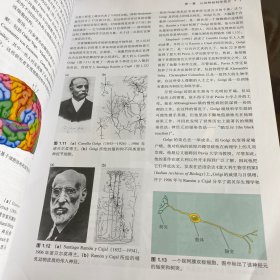 认知神经科学：关于心智的生物学