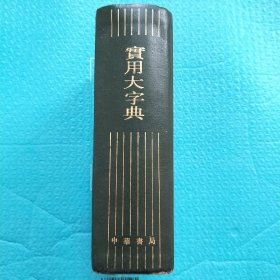 实用大字典