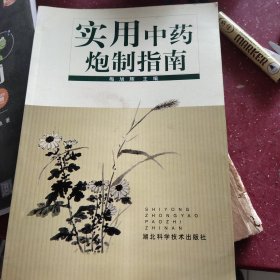 实用中药炮制指南