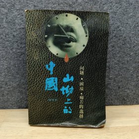 山坳上的中国：问题·困境·痛苦的选择