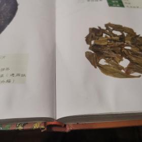 大益茶典（贰零壹壹）（外品如图，内页全篇因受潮有发皱，稍有水印，内容完整，可做为资料书）