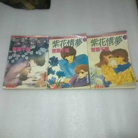 紫花情梦1-3