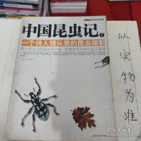 中国昆虫记：一个诗人镜头里的昆虫丽影