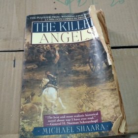 The Killer Angels：The Classic Novel of the Civil War