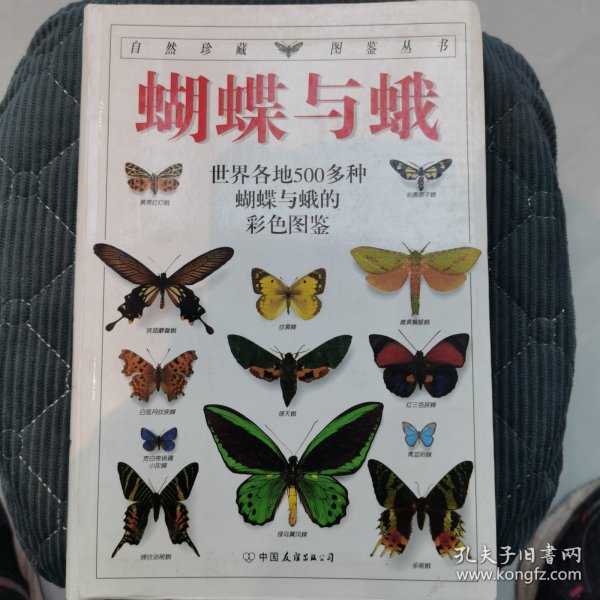 蝴蝶与蛾：全世界500多种蝴蝶的彩色图鉴