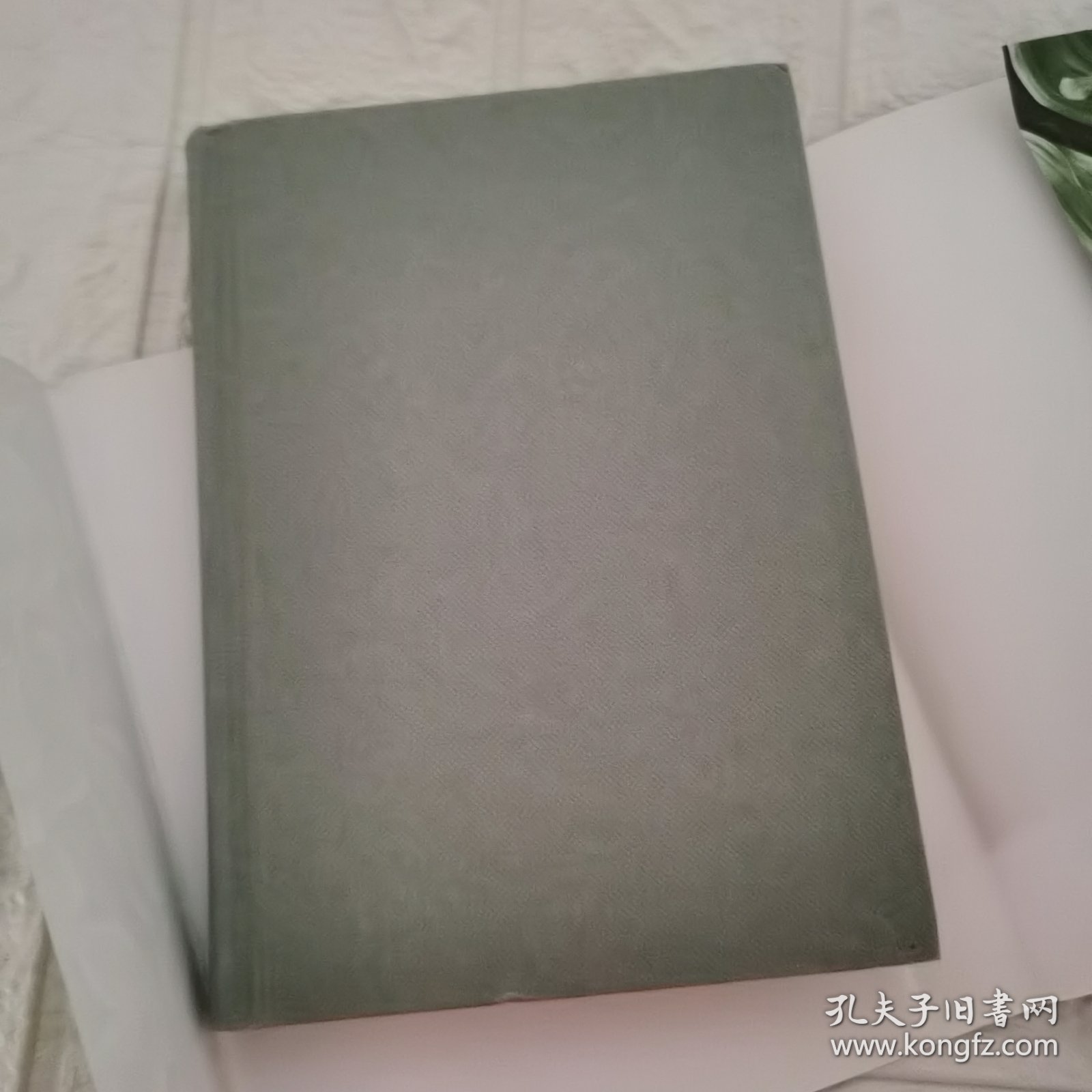 正版 瓦尔登湖