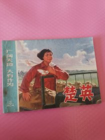 广阔天地，大有作为 楚英