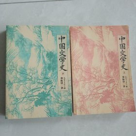 中国文学史（上下）