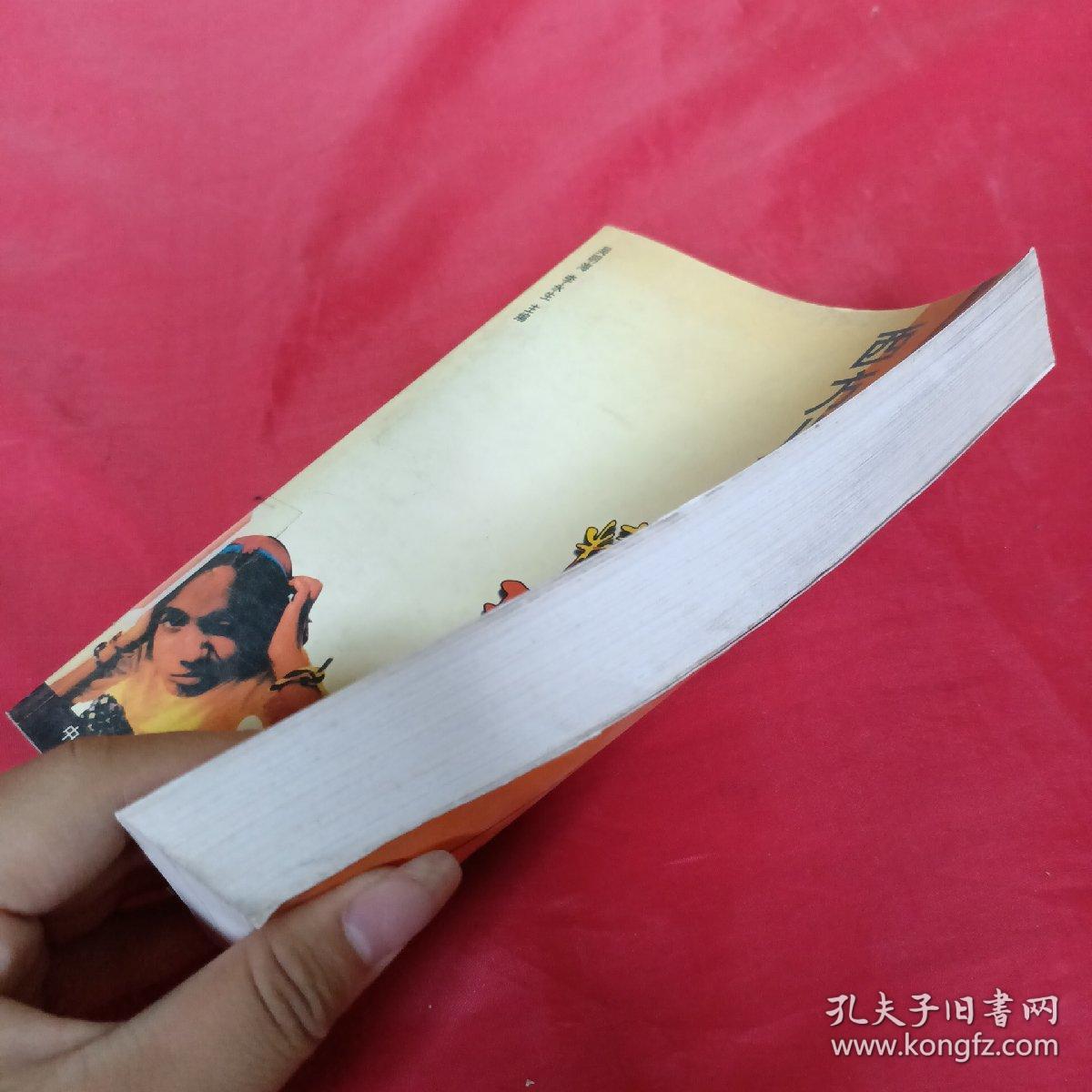 西方儿童成功教育精彩方案下册