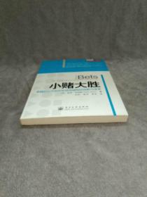 小赌大胜: 卓越的公司如何实现突破性的创新与变革