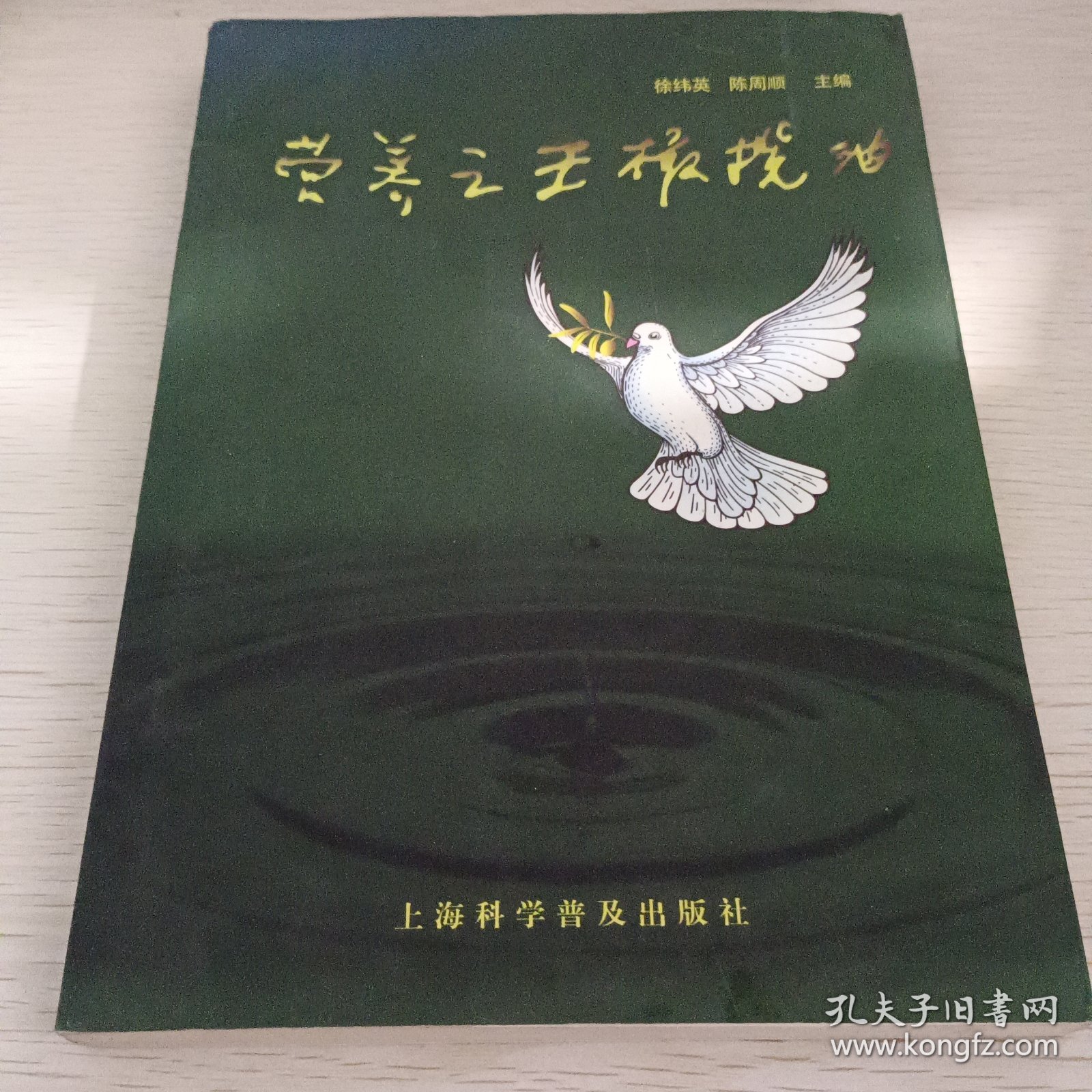 营养之王橄榄油