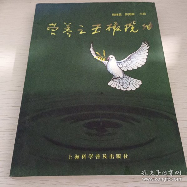 营养之王橄榄油