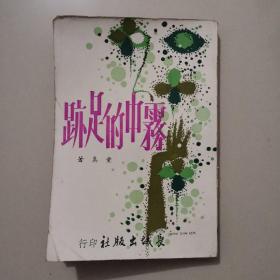 长篇创作小说《雾中的足迹》童真著