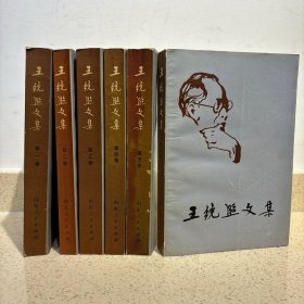 王统照文集 6册全