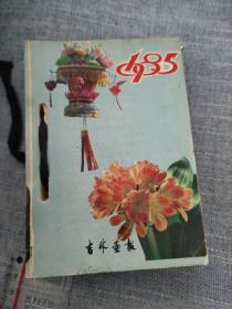 台历头:1985年《知识台历》
插画均为君子兰