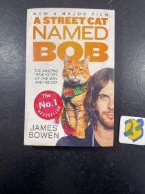 流浪猫鲍勃 英文原版 A Street Cat Named Bob