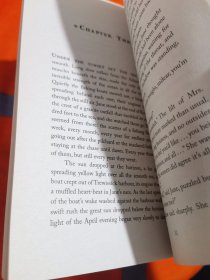 The Dark is Rising (Box Five) 黑暗崛起 全5册