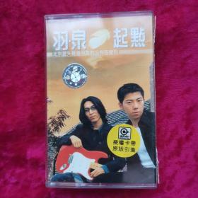 磁带羽泉起点