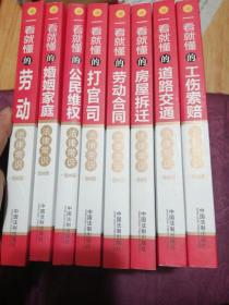 一看就懂的劳动法律常识：漫画版：8册全