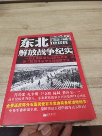 东北解放战争纪实