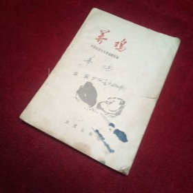 养鸡 1960