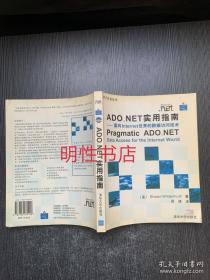 ADO.NET实用指南：面向Internet世界的数据访问技术