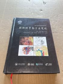 腹腔镜胃肠手术笔记 AME科研时间系列医学图书002