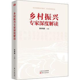 乡村振兴专家深度解读