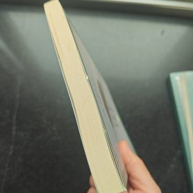 黑雪 (优秀蒙古族文学作品翻译工程丛书)