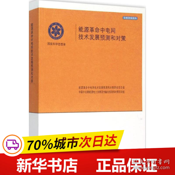 能源革命中电网及技术发展预测和对策