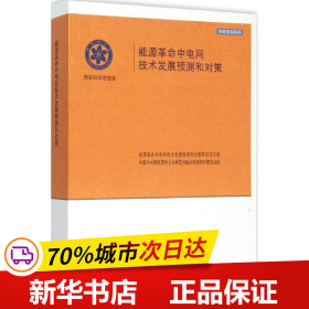 能源革命中电网及技术发展预测和对策