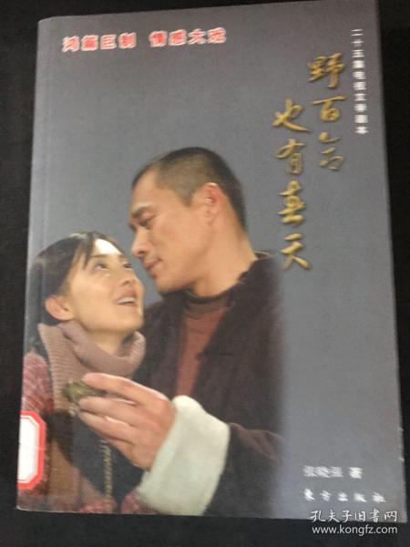 野百合也有春天（25集电视文学剧本）