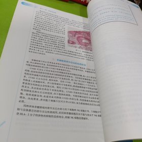 病理学第8版：十二五普通高等教育本科国家级规划教材 如图现货速发