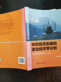 中巴经济走廊的政治经济学分析