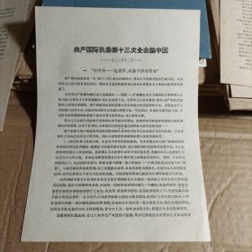 共产国际执委第十三次全会论中国