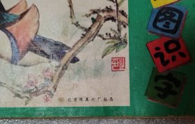 看图识字（6）