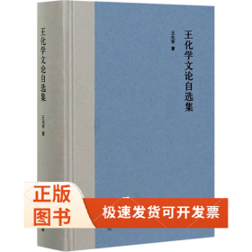 王化学文论自选集