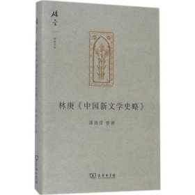 正版书林庚《中国新文学史略》