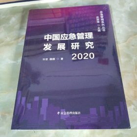 中国应急管理发展研究2020