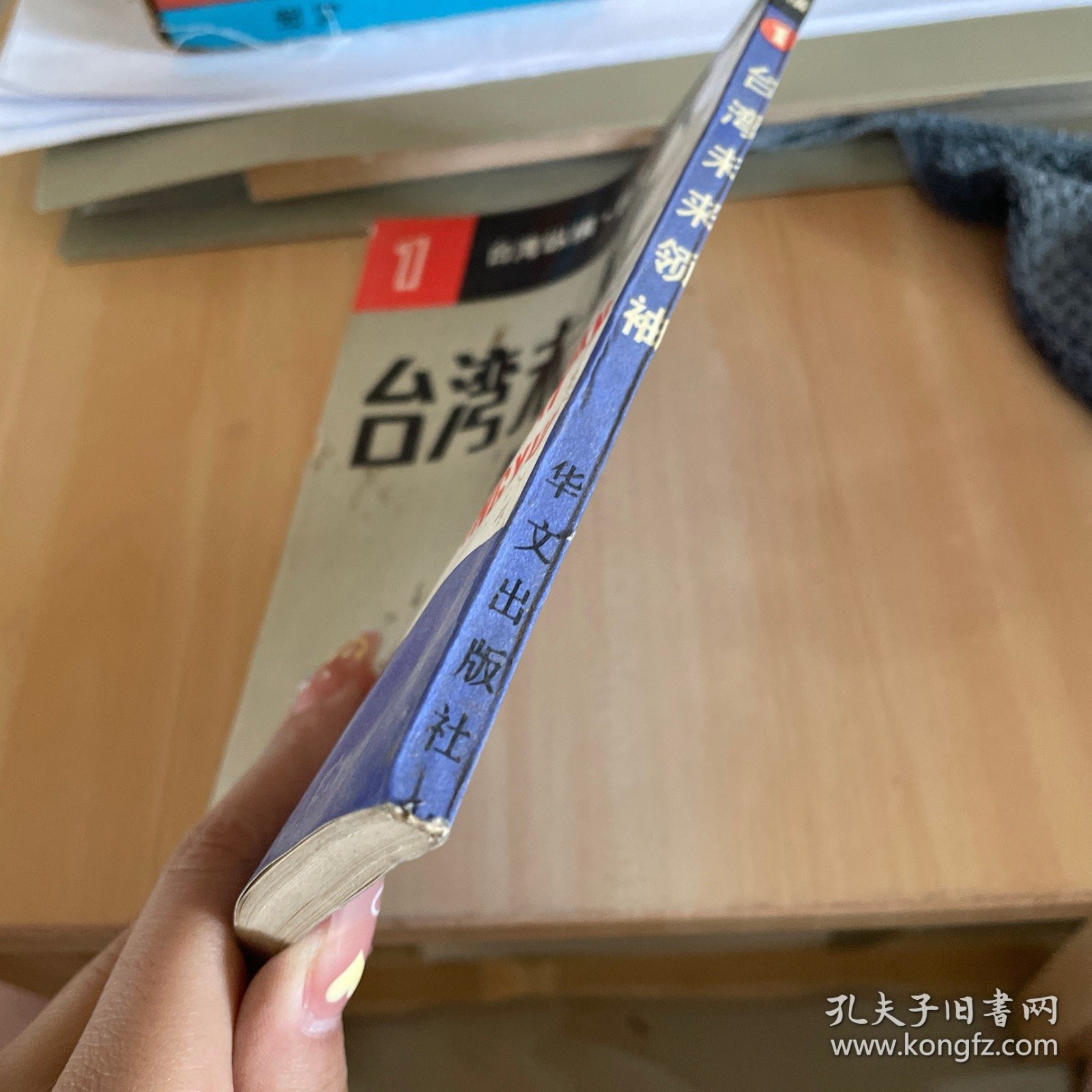 台湾纵横台湾未来领袖