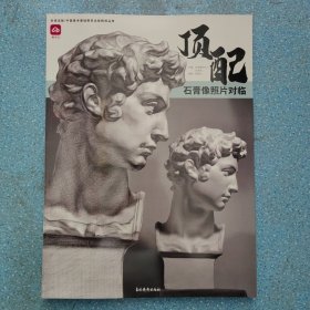 顶配石膏像照片对临