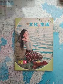 文化与生活    1981年--3、4/1982年--1、3/四本合售2元   可以拆零出售单本1元