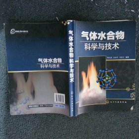 气体水合物科学与技术