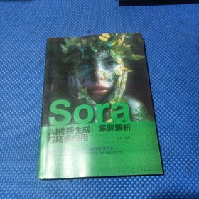 Sora AI视频生成、案例解析与场景应用