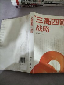 三高四新战略