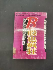 B股也瘋狂:B股投資指南