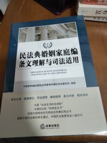 民法典婚姻家庭编条文理解与司法适用