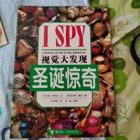 视觉大发现：圣诞惊奇